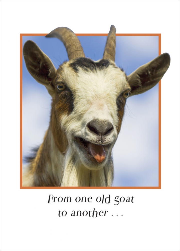 The Beautiful Project Old Goat Birthday Card